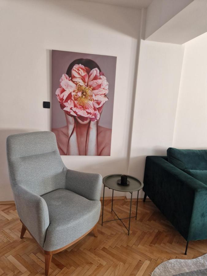 Comfy Center Apartment Skopje Exteriér fotografie